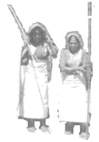 zwei Teepfl�ckerinnen